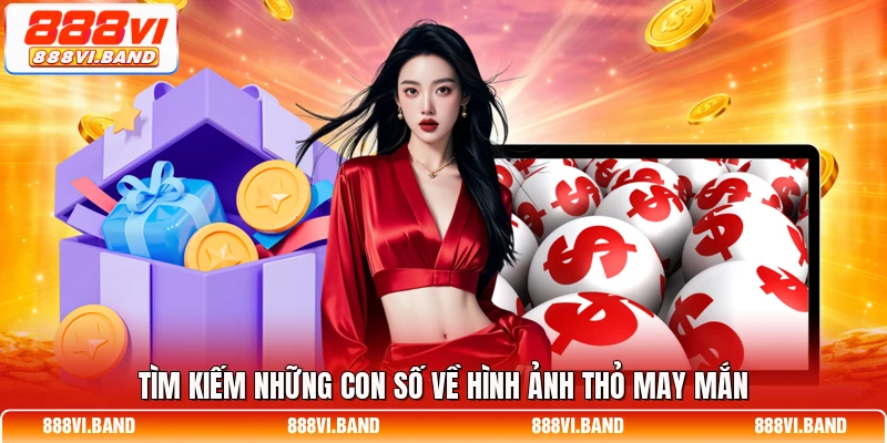 Tìm kiếm những con số về hình ảnh thỏ may mắn