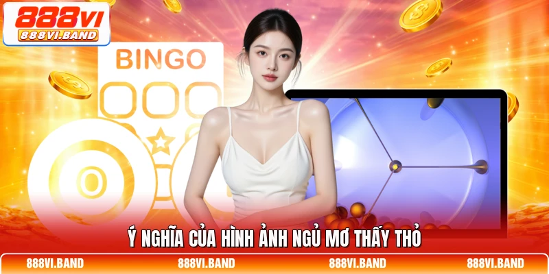 Ý nghĩa của hình ảnh ngủ mơ thấy thỏ